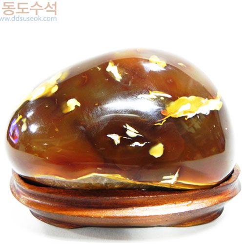 산장법사와원승이