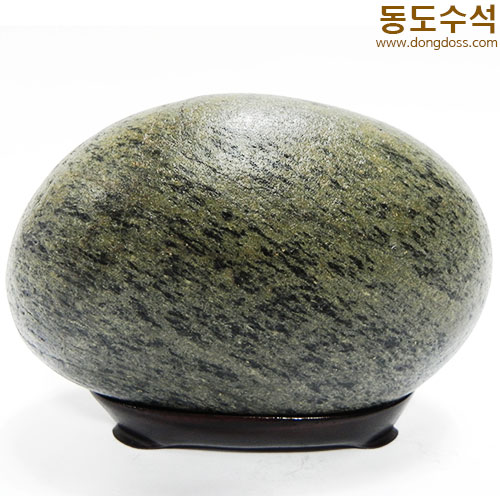 바다풍경어류때